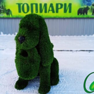 Топиари Собака с корзиной 70 х 40 х 80 см